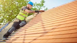 Professional Roofing service in Cana, VA