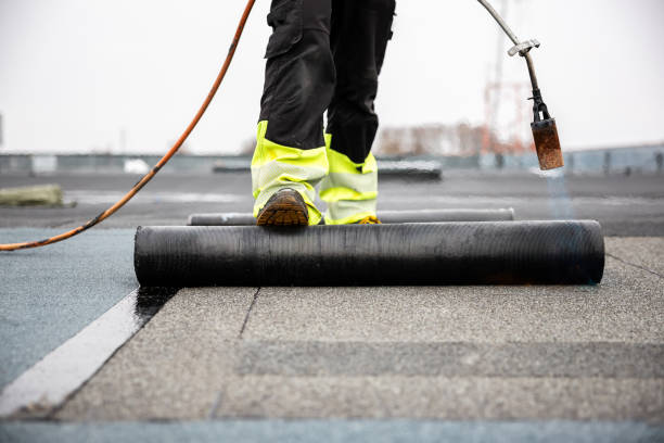 Best Roof Coating and Sealing  in Cana, VA